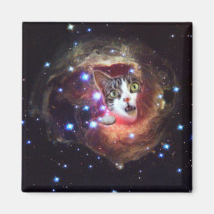 Gatos LOL del espacio de la galaxia imán del