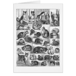 Gatos, Louis Wain