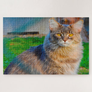 Gatos Maine Coon. Rompecabezas