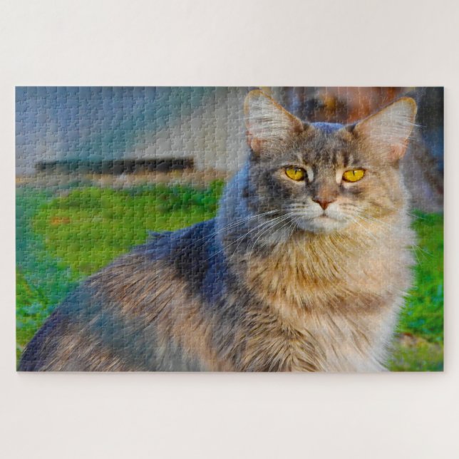 Gatos Maine Coon. Rompecabezas (Horizontal)