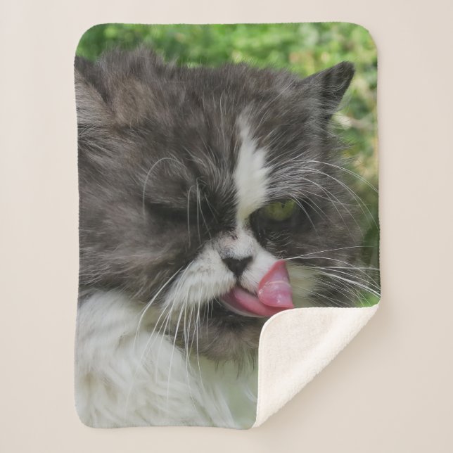 gatos, mantas sherpa, artesanía, vacaciones, elega (Anverso)