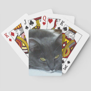 Gatos Maullando 8 Cartas de Juego