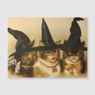 Gatos negros vintage de Halloween