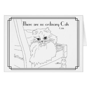 Gatos no ordinarios