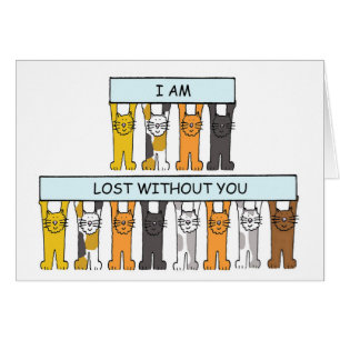 Gatos Personalizados ausentes