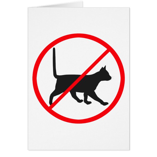 ¡Gatos Prohibidos! (Frente)