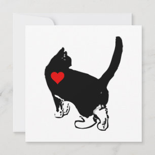 Gatos que muestran amor