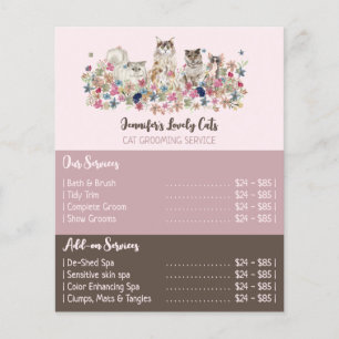 Gatos Servicio de Peluquería Ofertas Folleto Rosa