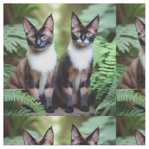 Gatos siameses de chocolate gemelos, tela