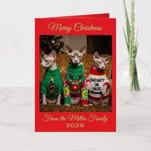 Gatos Sphynx de Navidad Suéter Feo de Navidad Dive