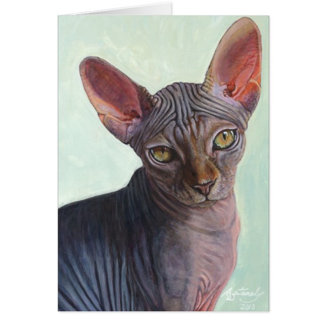 Gatos Sunitha del gato de la esfinge de Sphynx (Frente)