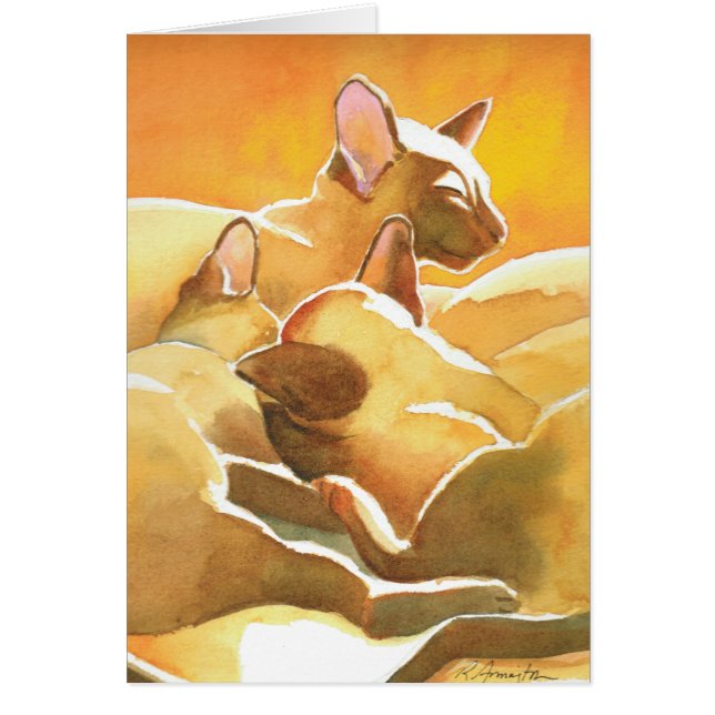 Gatos sunshine siameses (Frente)