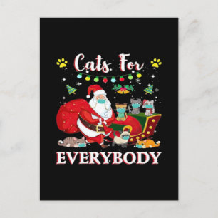Gatos Todos Navidad