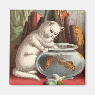 Gatos traviesos: imán de fragmentos de gatos pesca