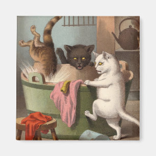 Gatos traviesos - imán del refrigerador de Washda