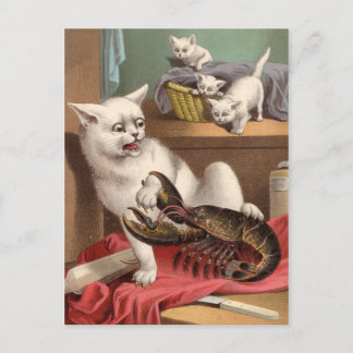Gatos traviesos y postal de bogavante
