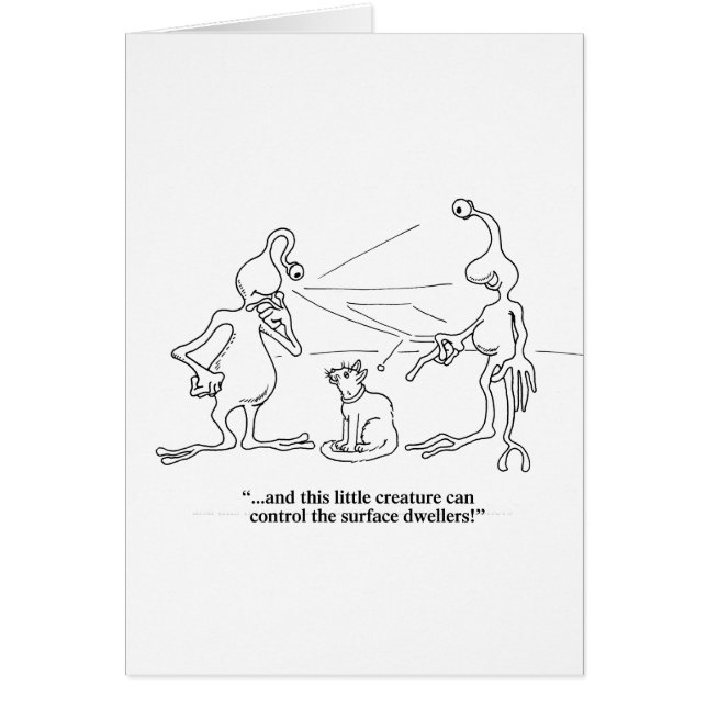 Gatos y extranjeros (Frente)