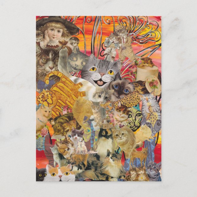 Gatos y muchas postales (Anverso)