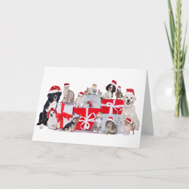 Gatos y perros y Mascotas - Tarjeta para Navidades (Anverso)