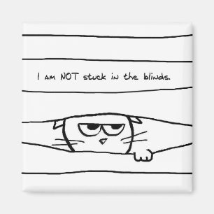 Gatos y persianas de ventana - imán divertido del