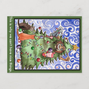 Gatos y su ser humano y un árbol de navidad