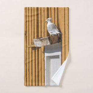 Gaviota