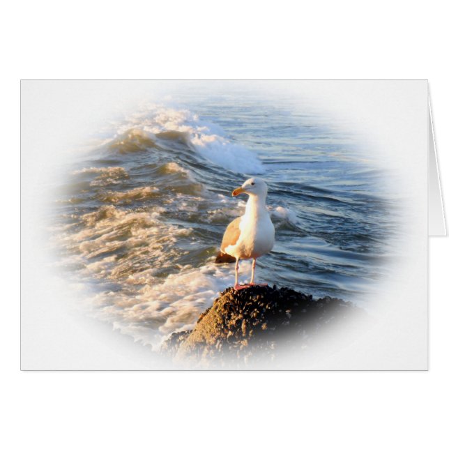 Gaviota (Anverso (Horizontal))