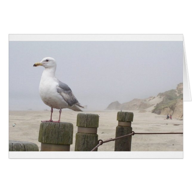 Gaviota (Anverso (Horizontal))