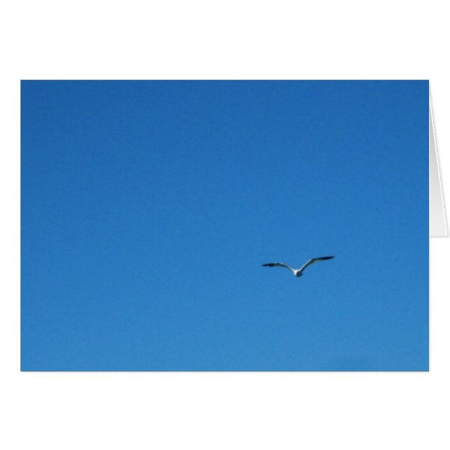 Gaviota (Anverso (Horizontal))