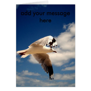 Gaviota Blanca Voladora,