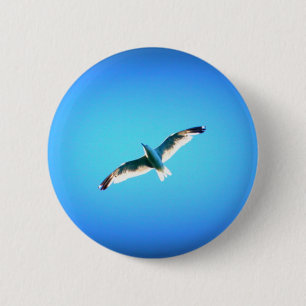gaviota con botón azul