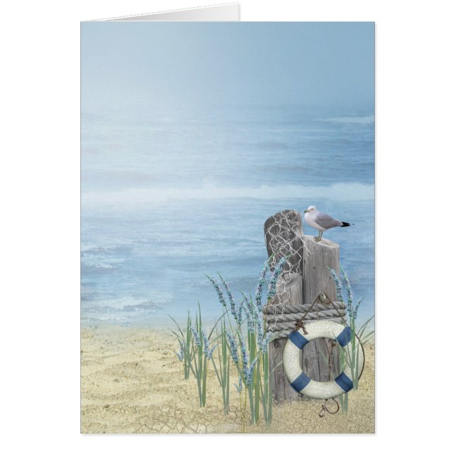 Gaviota de playa (Frente)