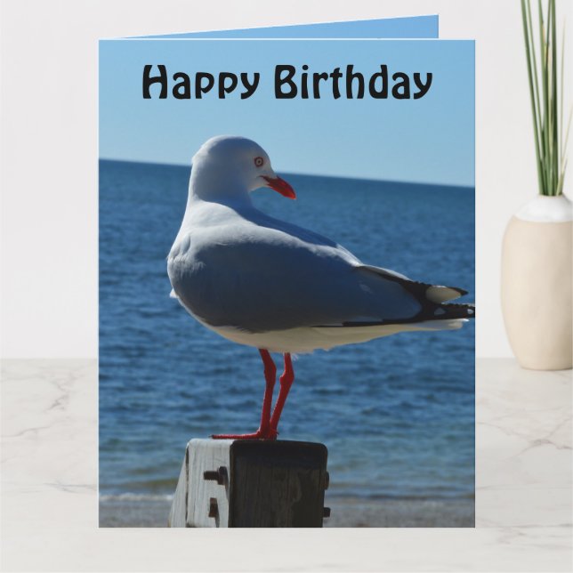 Gaviota de playa, tarjeta de cumpleaños Jumbo (Anverso)