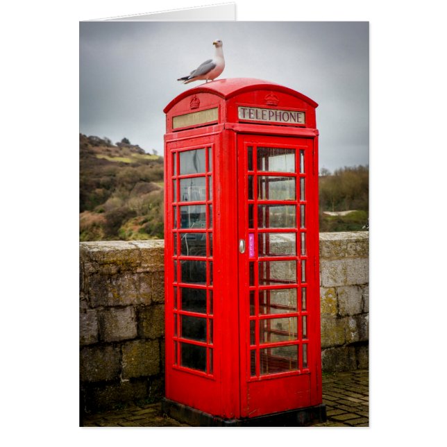 Gaviota en caja telefónica (Frente)