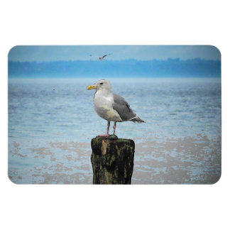 Gaviota en el imán de sonido de la bomba