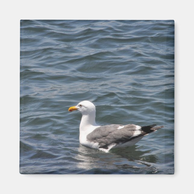 Gaviota en el imán marino (Frente)