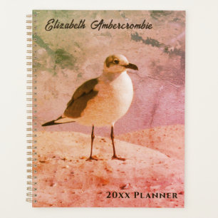 Gaviota en el planificador anual de la playa