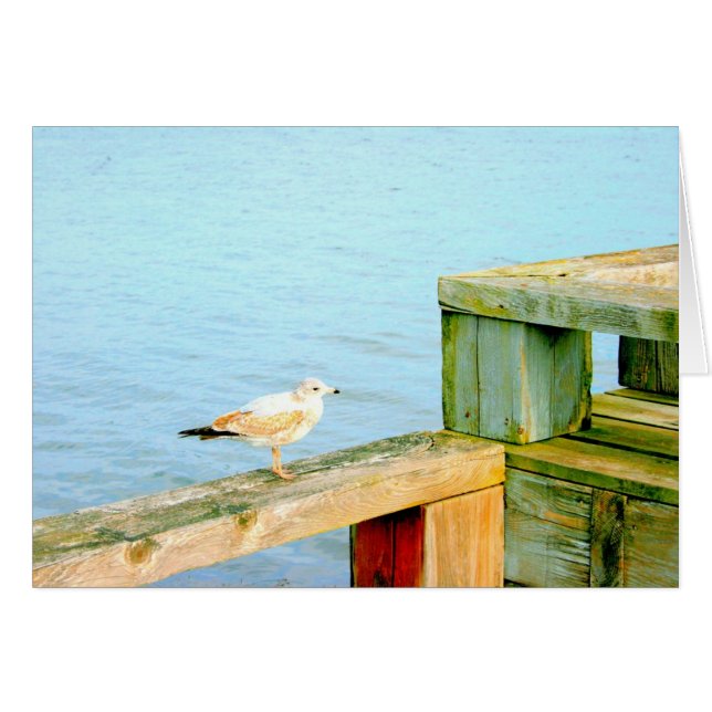 Gaviota en el tren (Anverso (Horizontal))
