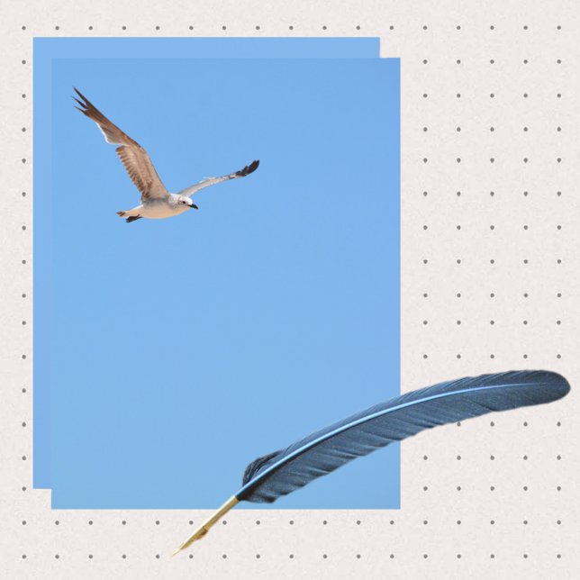 Gaviota en hoja de papel de la costa azul cielo li (Subido por el creador)