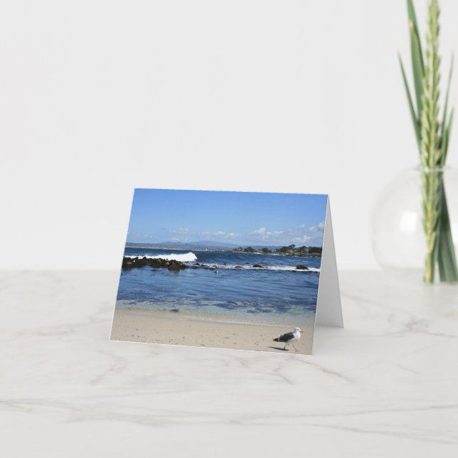 Gaviota en la playa, tarjeta de nota en blanco (Anverso)