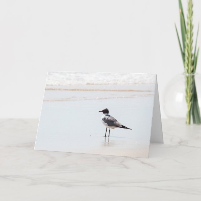 Gaviota en la tarjeta de felicitación del espacio (Anverso)