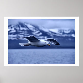 Gaviota En Poster De Arte De Vida Silvestre