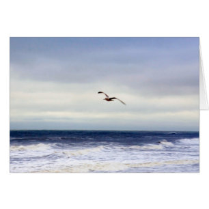 Gaviota En Púrpura