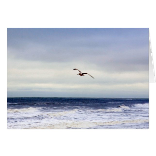 Gaviota En Púrpura (Anverso (Horizontal))