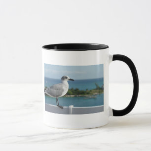 Gaviota en taza del paraíso
