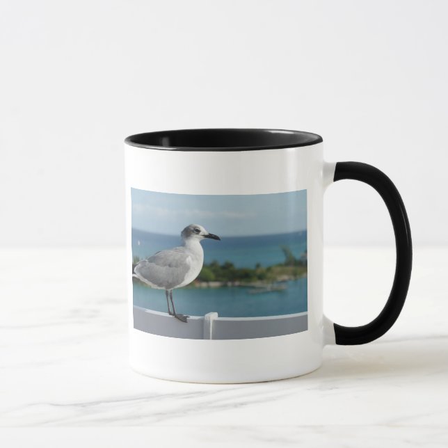 Gaviota en taza del paraíso (Derecha)