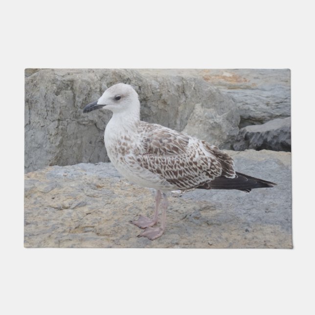 Gaviota en una alfombra de la puerta de roca (Anverso)