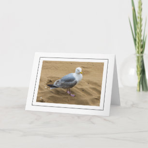 Gaviota en una tarjeta de felicitación de playa de