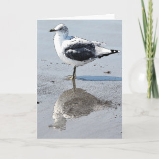 Gaviota grande del bebé - tarjeta de felicitación