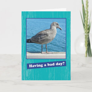 Gaviota gruñida con tarjeta de aliento para un mal